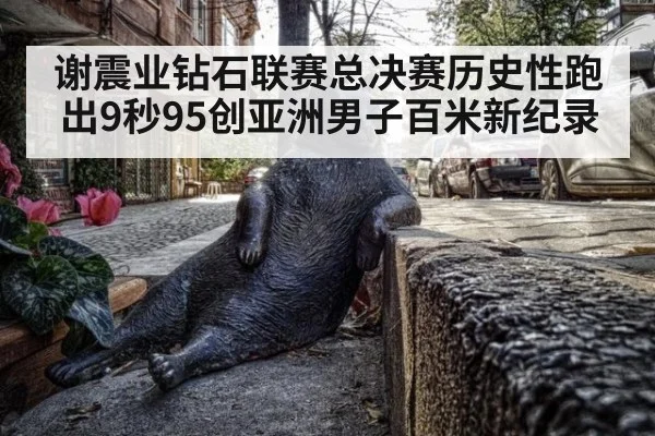 谢震业钻石联赛总决赛历史性跑出9秒95创亚洲男子百米新纪录